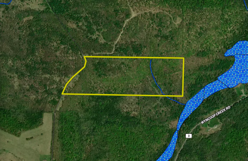 Chemung_59.085_Gutchess_Lumber_Landid_5