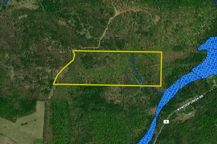 Chemung_59.085_Gutchess_Lumber_Landid_5
