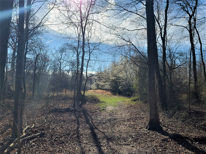 50.38ac_BethlehemRd_Caroline_Pic019