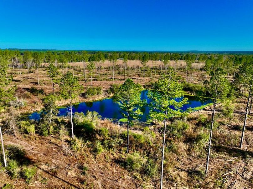 79215F55-42B8-4C48-97B8-BF79FB684169_1_201_a