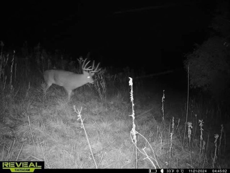 3E701E3A-E191-44CB-BA4D-005904791117