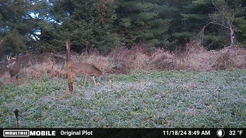 Temp_1082385-20241118145008-100MFCAM_MFDC0517