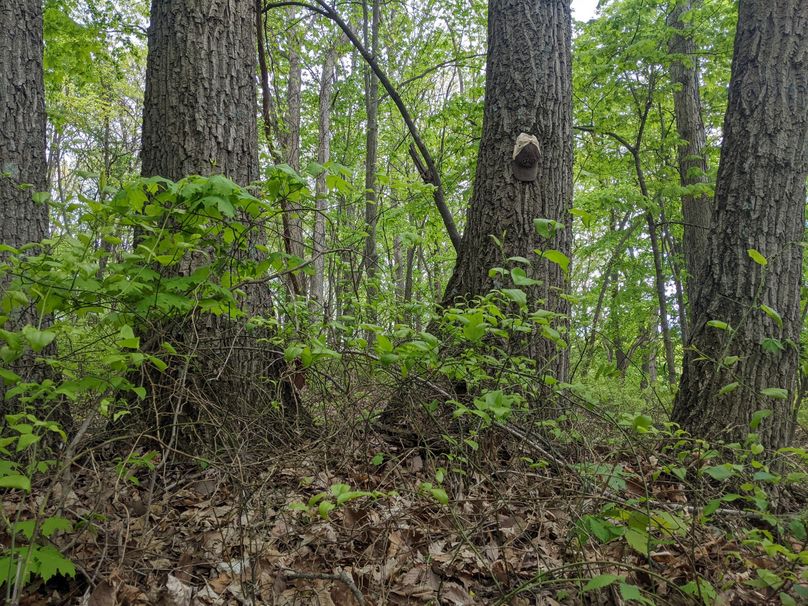 PXL_20230504_220104694