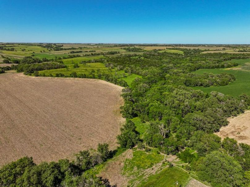 dji_fly_20240606_164448_0004_1717711229959_photo