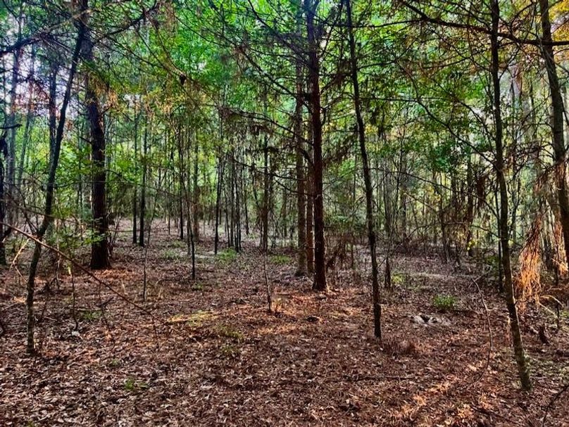 A948F35B-4A23-43E8-BED2-133F86DAA302_1_105_c