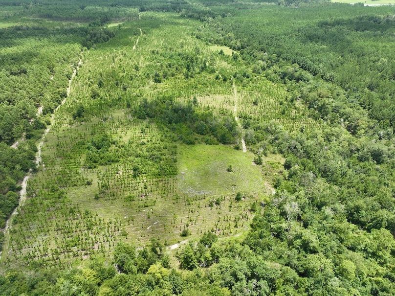 dji_fly_20240710_135740_561_1720634556882_photo