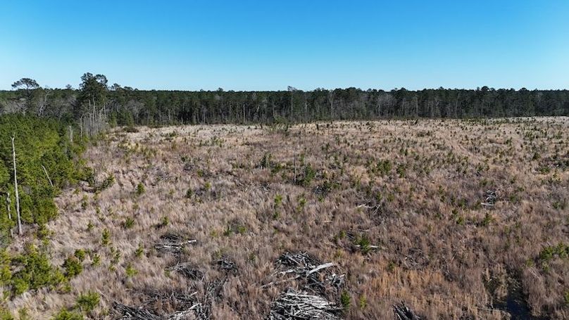 DJI_20260224040242_0403_D