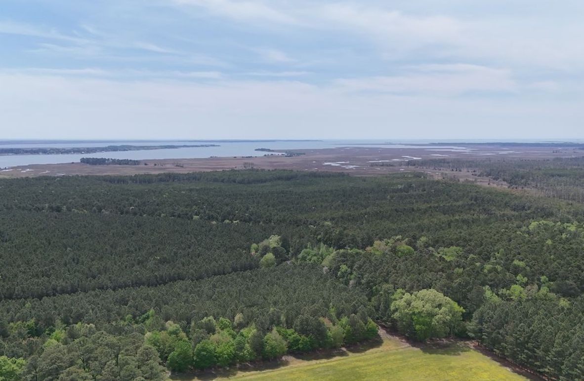 dji_fly_20250424_133140_0025_1745526018608_photo