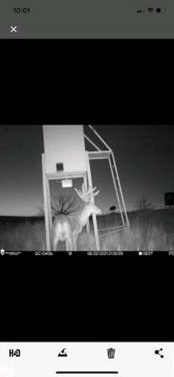 pulse-image-1658112850903