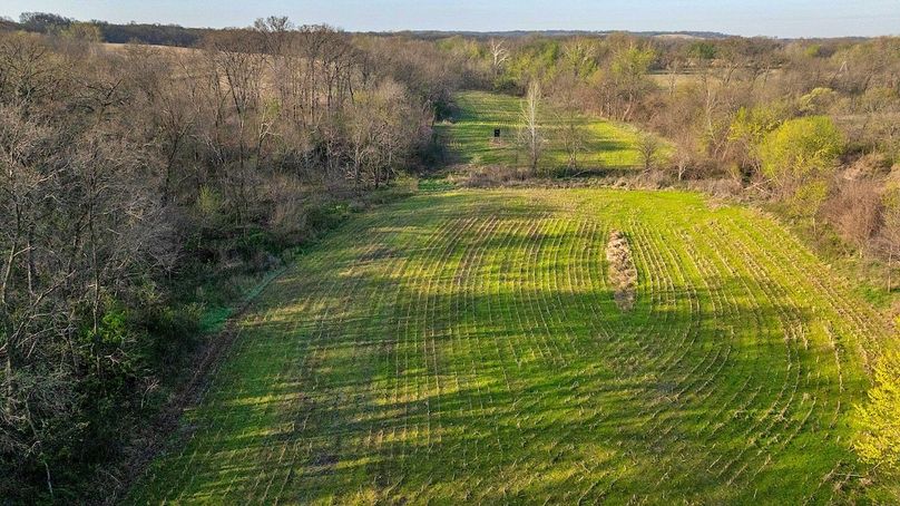 DJI_0061