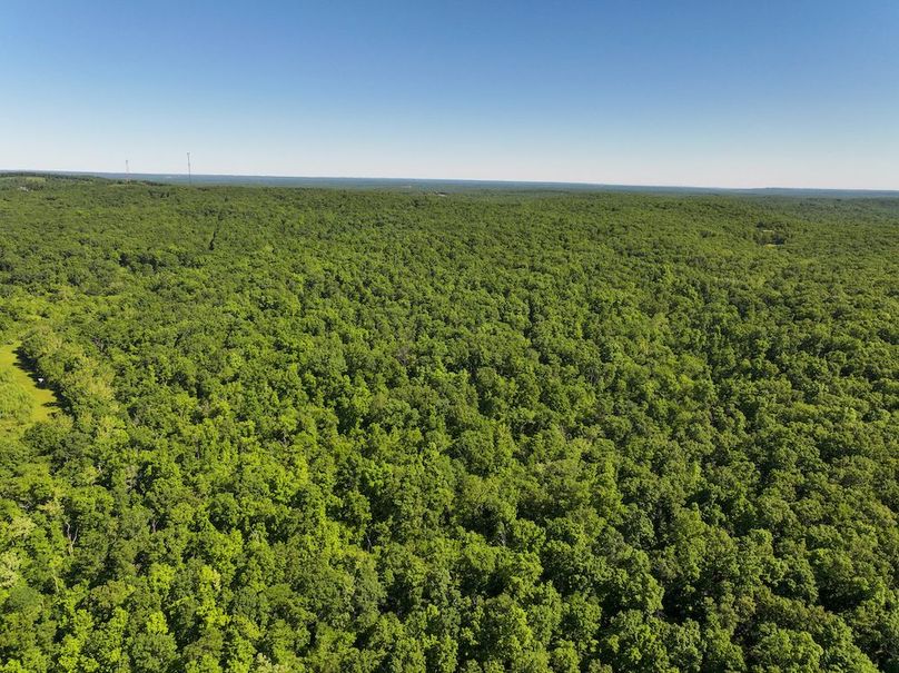 DJI_20250522095218_0371_D
