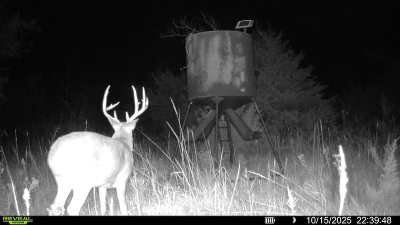 016578004503154-100-2-10152025223948-SYFW14778