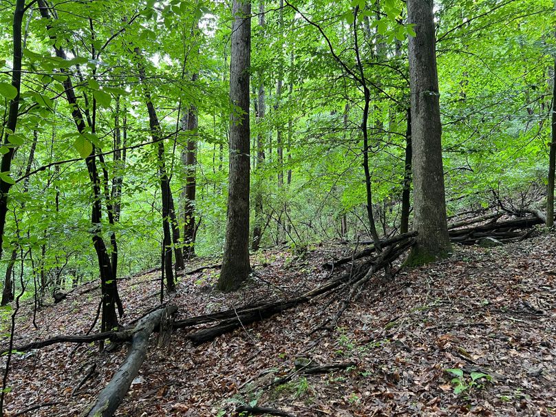 Wirt, WV 150.75 AC Tinnell-41