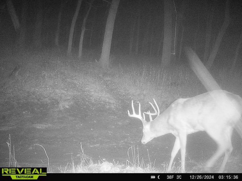 865814043089521-90-3-12262024031536-W1021288