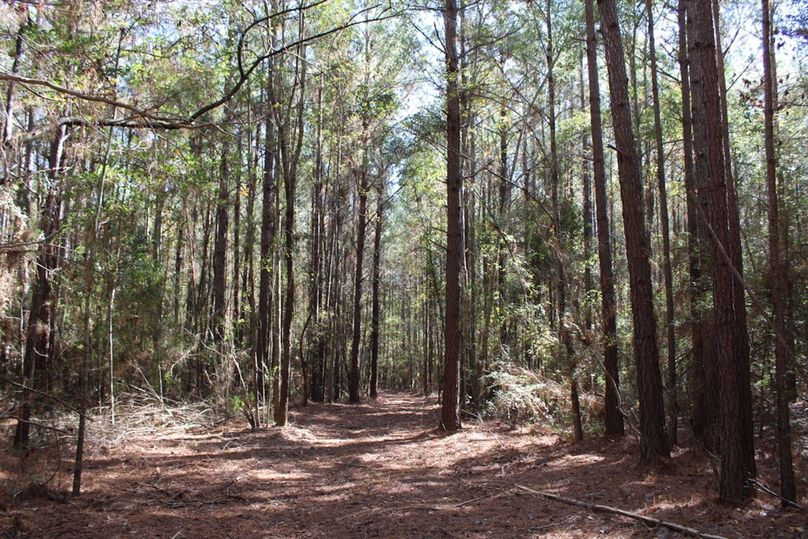 52A53587-E4D9-4F92-BE81-5C1F699B2C16_1_105_c