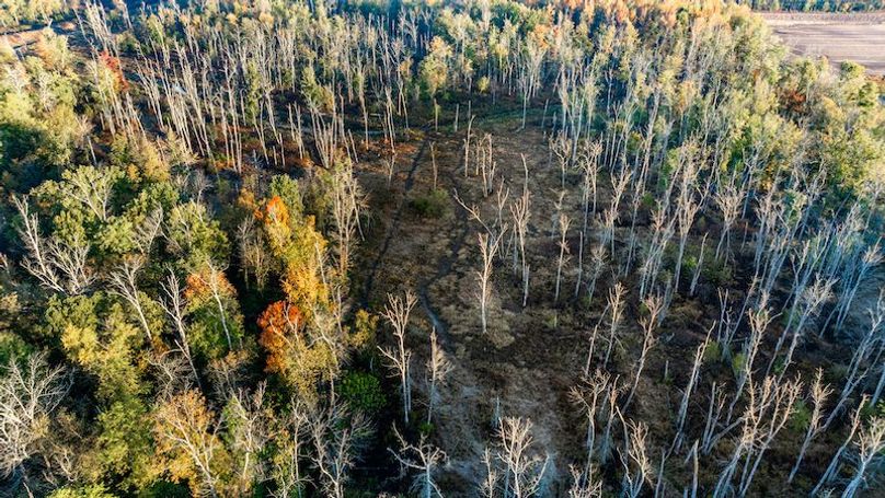 DJI_20251030191500_0011_D