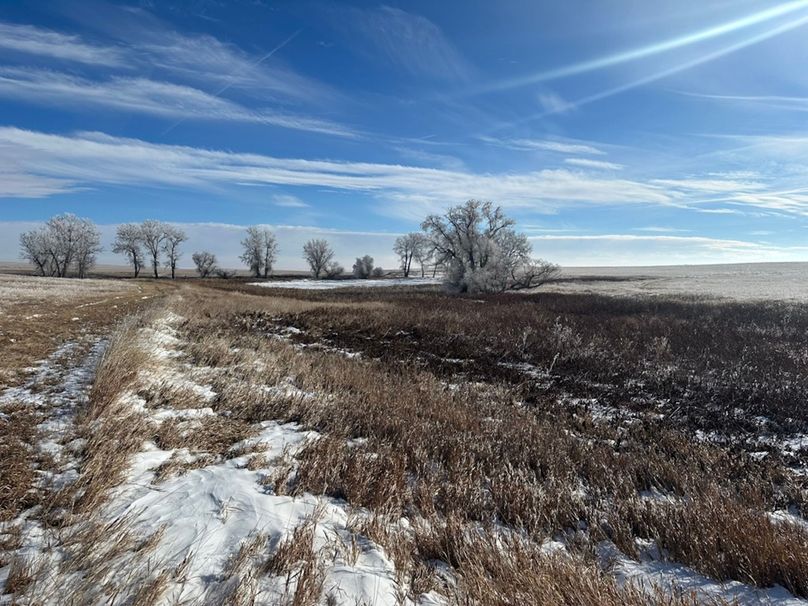 4A750EB1-FFEC-4B43-8ECA-1E98A59F7CE5_1_105_c