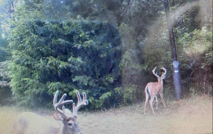 Lee County, MS 92+--28