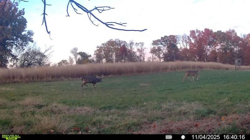 016579000190475-88-4-11042025164016-SYFW03239