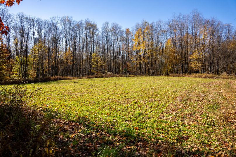 Elk PA 7000 Feature_Pro Photo-105