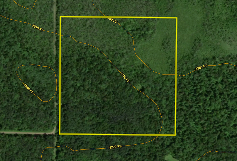 Screenshot 2024-03-18 at 2.45.37 PM copy