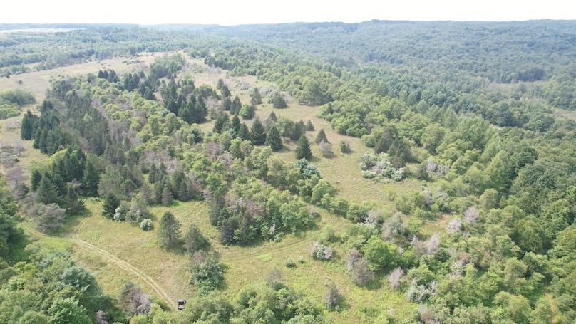 dji_fly_20250804_153114_486_1754355824897_photo