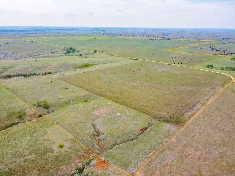 Comanche480_002 copy