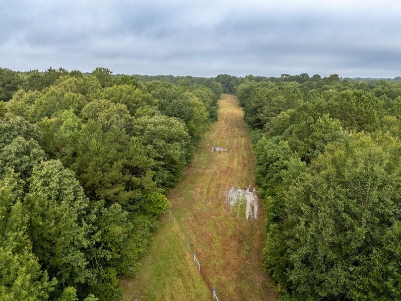 Panola Co. 40ac - Rouse-33