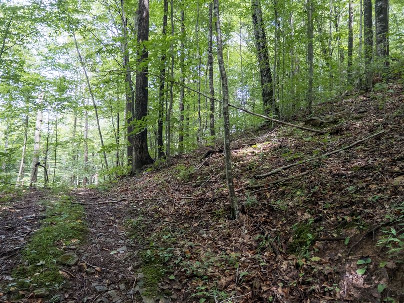 14_36.85_Pocahontas_WV