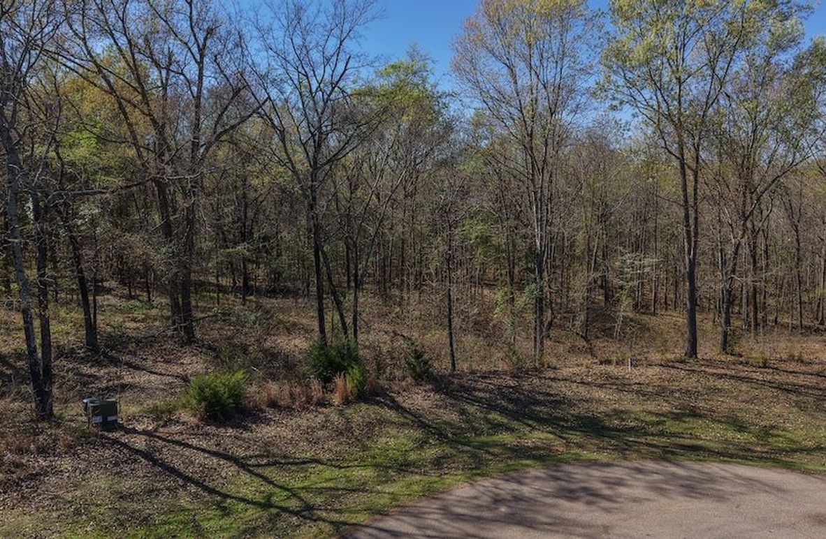 DJI_20260311011144_0031_D