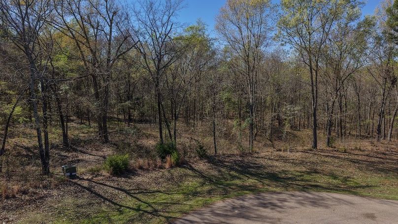 DJI_20260311011144_0031_D