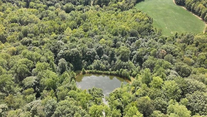 dji_fly_20240904_133012_0372_1725471195229_photo