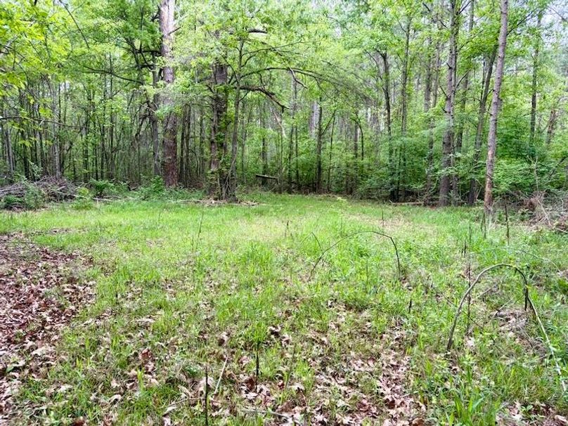 64F45632-61E8-4E62-9DF5-D0F2C7039C3E_1_105_c