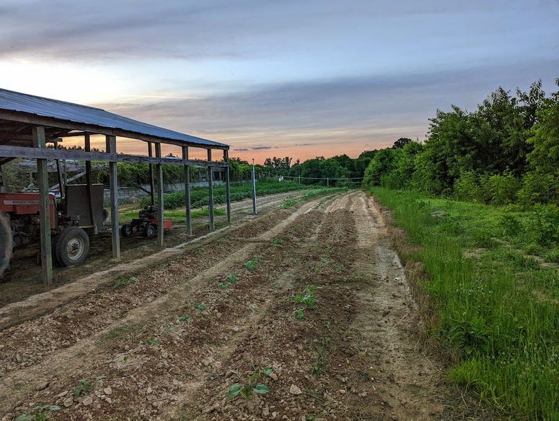 PXL_20220605_002544777