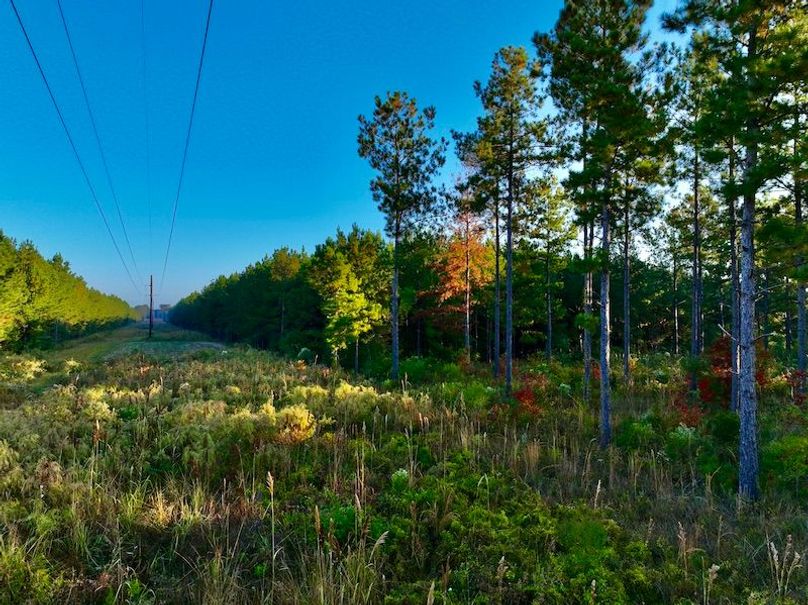 D35755DC-99B0-43AD-819D-99984CF9844D_1_201_a