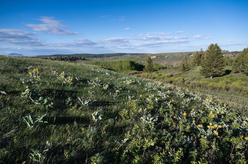 C8429EBF-5262-432E-99D2-8BE4F4D25A3A