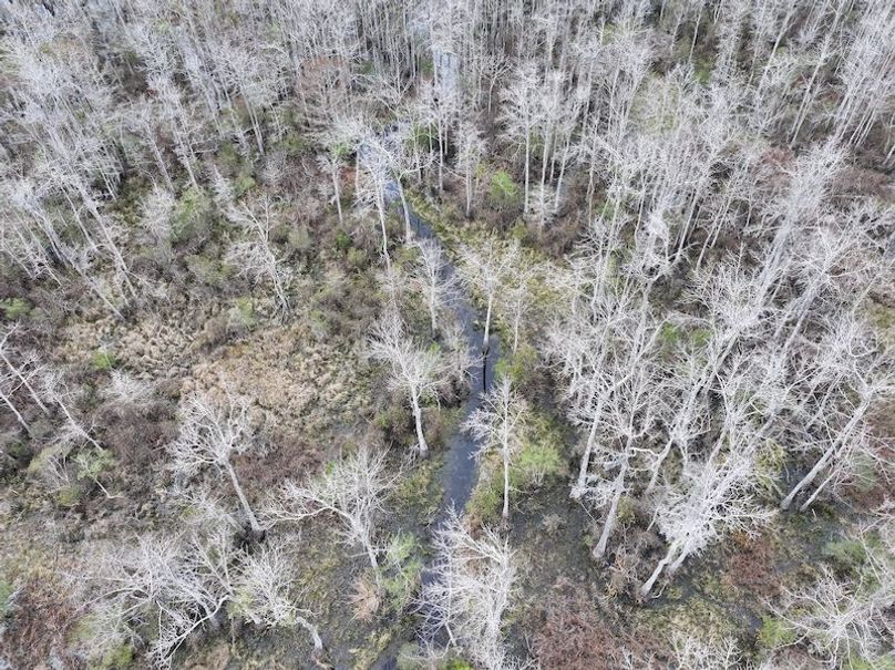 dji_fly_20260123_134230_0968_1769444763205_photo