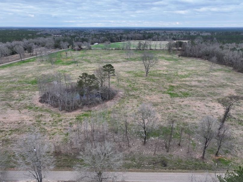 Copy of dji_fly_20260217_144240_0170_1771436897932_photo