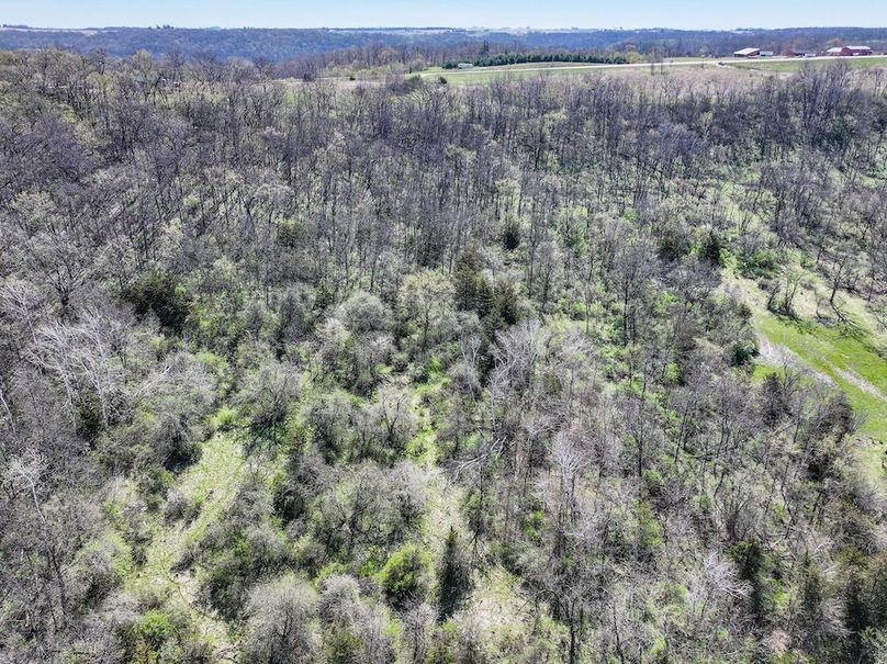 Strawberry Point- WTP-19