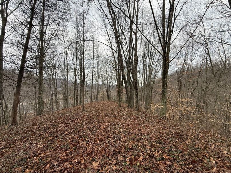 004 center point_ridge near the north part of the property
