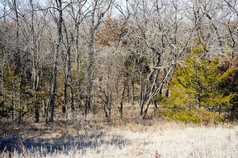 Ottawa Co, 199.7_061