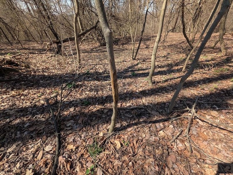 PXL_20260326_162351232