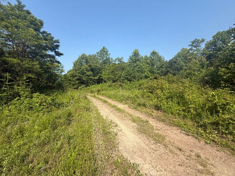007 the old mine road leading along then south boundary-2