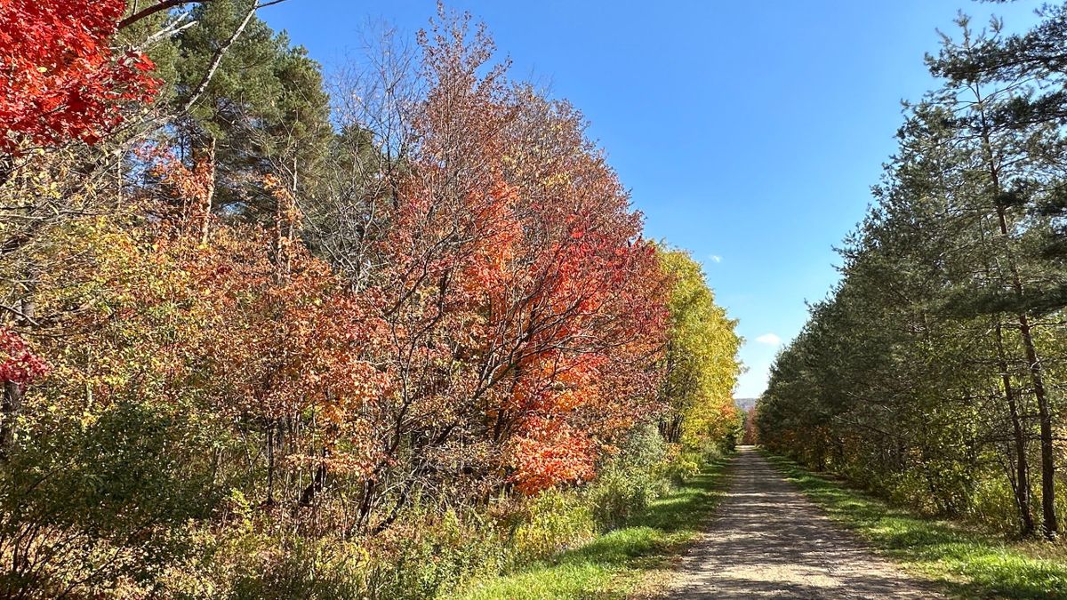 Recreational And Building Lot 3 Whitetail Properties