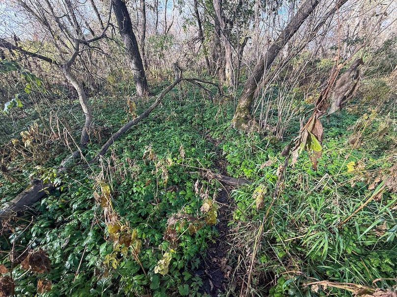 Houston 24.97 Updated-25