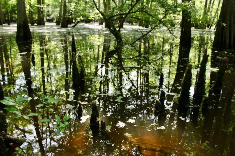 F812A194-423F-4659-A845-813289EC154C_1_201_a