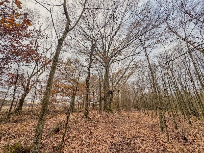 Monroe 80 Driver Dixon (Final Frontier) -22