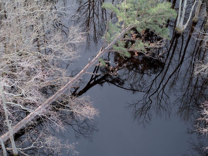 DJI_20240227083338_0030_craven60