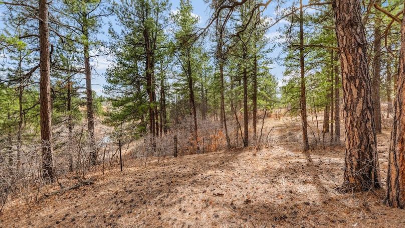 055 - NATURAL TRAILS