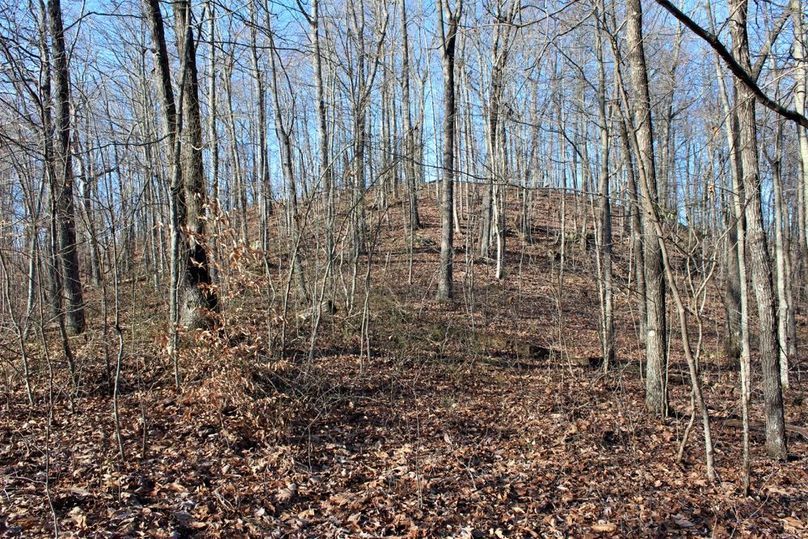 035 hardwood point in the northeastern area of the property